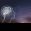 Novel Neurocosmetics: Understanding the skin-brain axis' influence on cosmetics