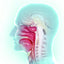 Capire la neurocosmesi