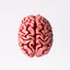 What are the next steps for neurocosmetics?
